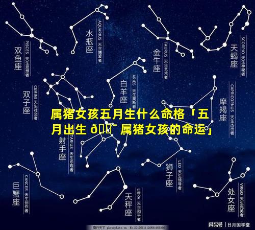属猪女孩五月生什么命格「五月出生 🐯 属猪女孩的命运」